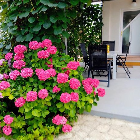 Apartments And Room Markovic Rovinjsko Selo Ngoại thất bức ảnh