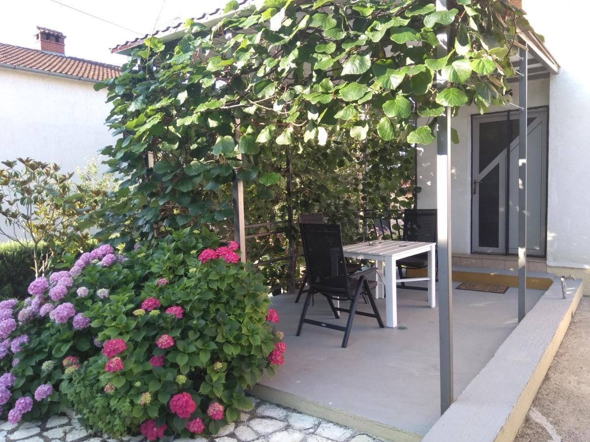 Apartments And Room Markovic Rovinjsko Selo Ngoại thất bức ảnh