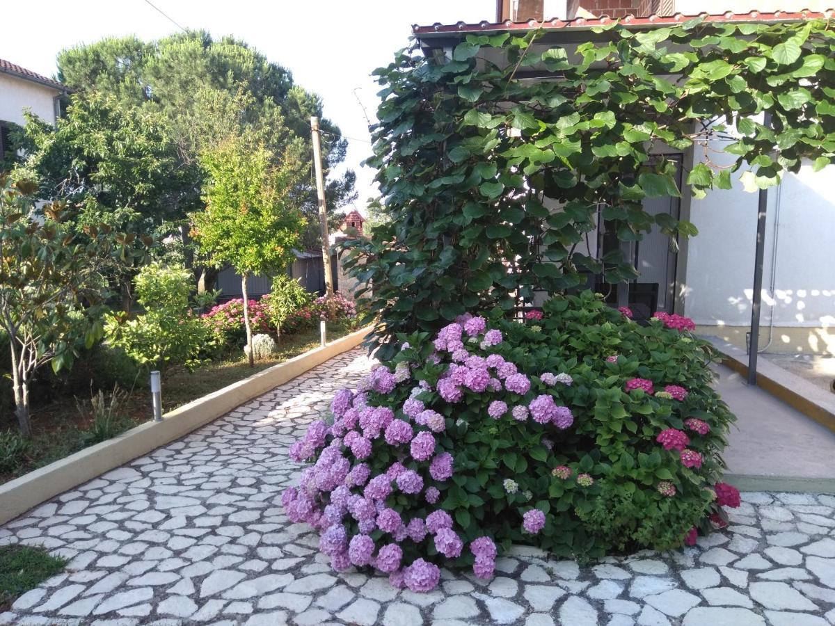 Apartments And Room Markovic Rovinjsko Selo Ngoại thất bức ảnh