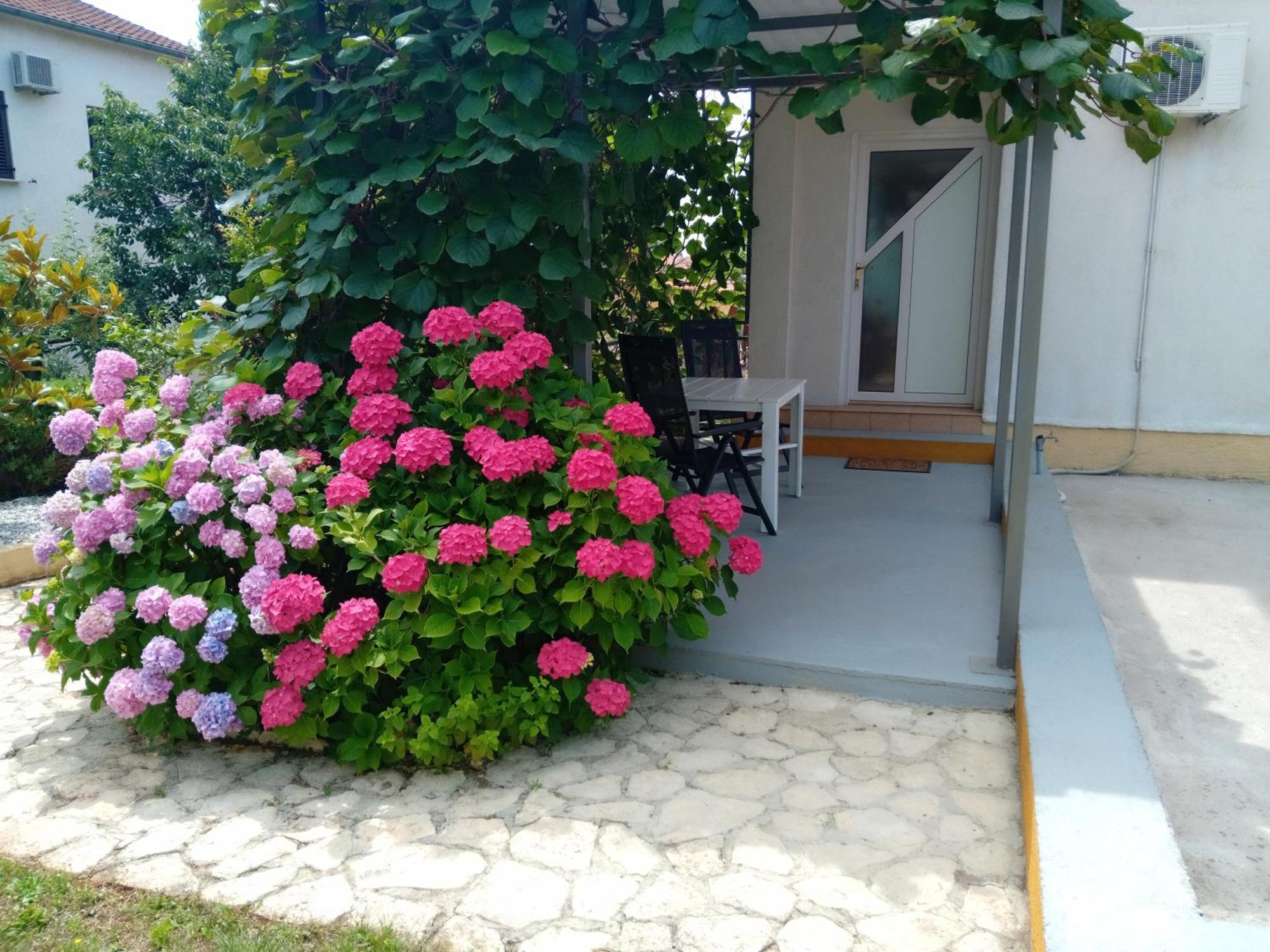 Apartments And Room Markovic Rovinjsko Selo Ngoại thất bức ảnh