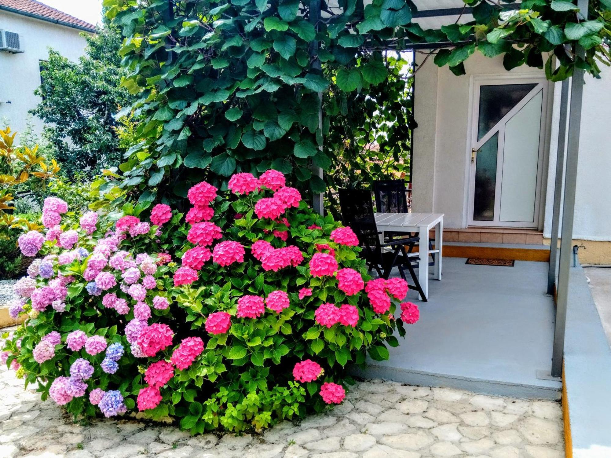 Apartments And Room Markovic Rovinjsko Selo Ngoại thất bức ảnh