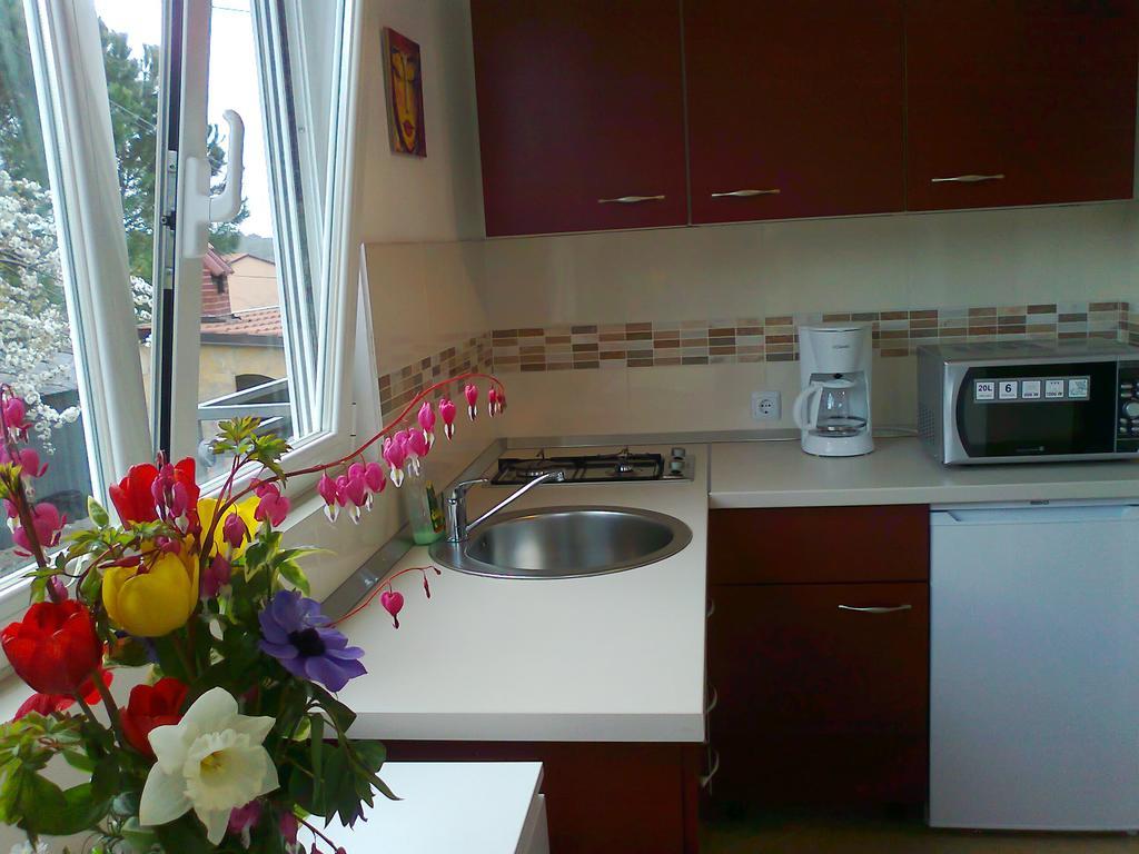 Apartments And Room Markovic Rovinjsko Selo Ngoại thất bức ảnh