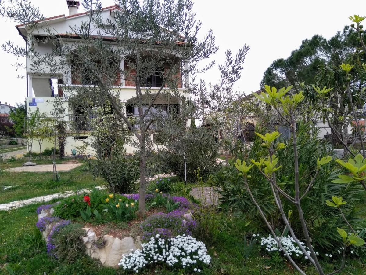 Apartments And Room Markovic Rovinjsko Selo Ngoại thất bức ảnh